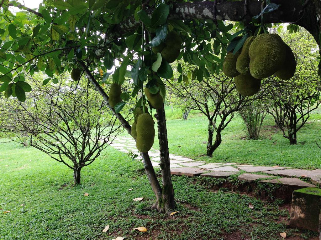 Aguas Vivas Hotel Fazenda Pirenopolis Exterior photo